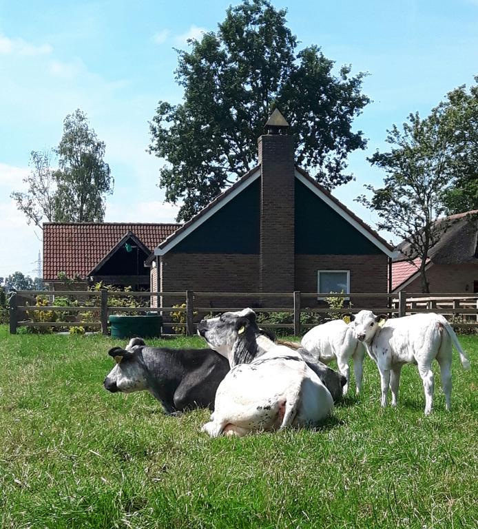 Haarle Het Kleine Landgoed 빌라 외부 사진
